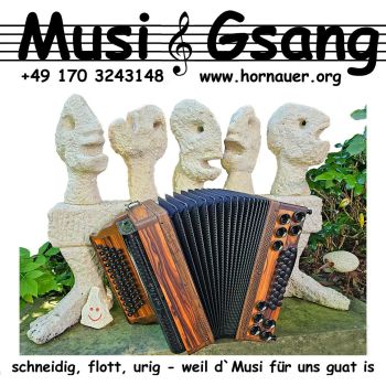 Erwin Hornauer - Musi & Gsang